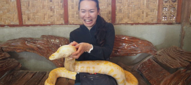 旅記事37 大蛇に会った。